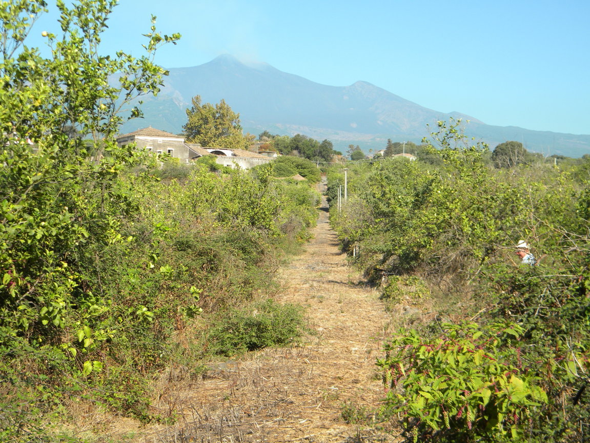 DSCN8151 .JPG